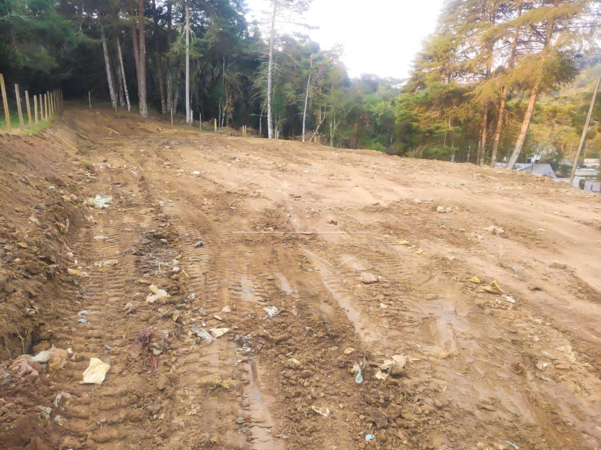 Terreno em Campos do Jordão