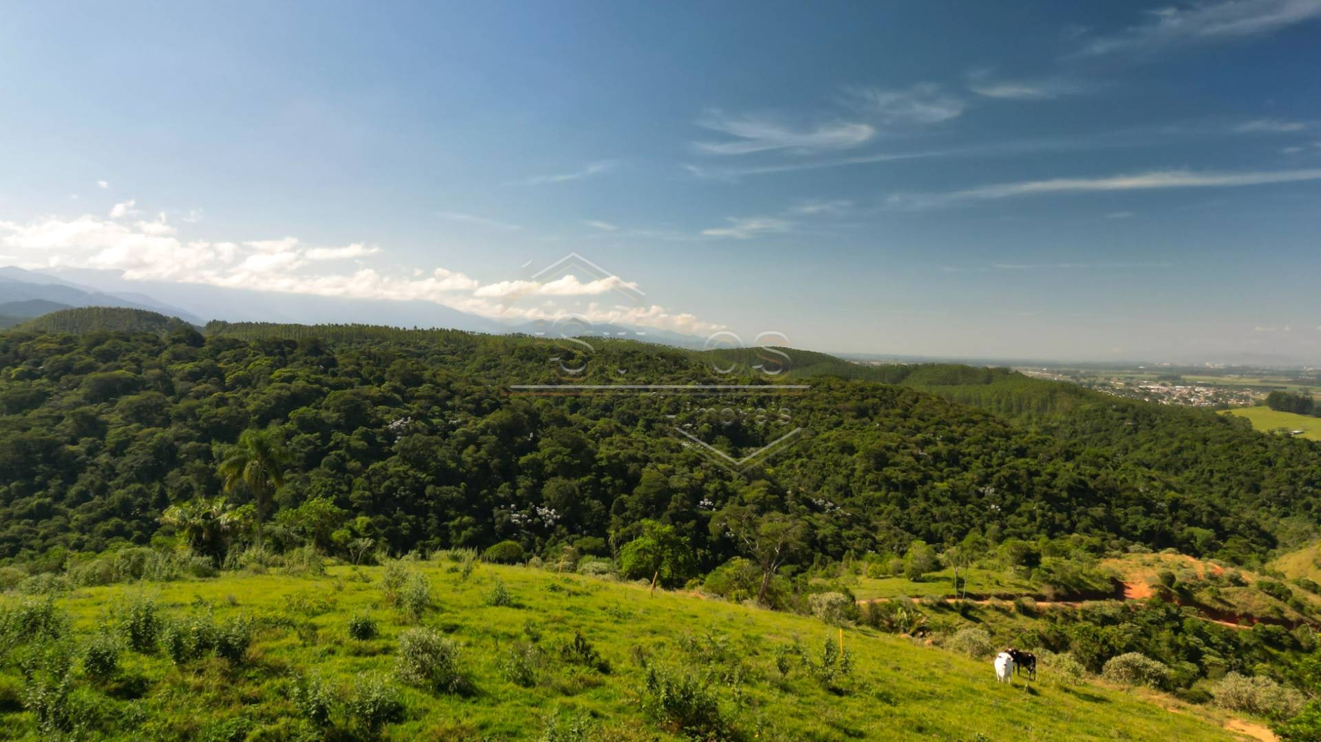 Oportunidade de Terrenos na serra